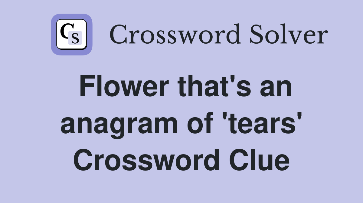 Flower that's an anagram of 'tears' Crossword Clue