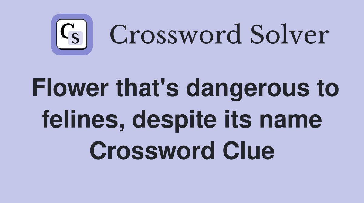 Flower that's dangerous to felines, despite its name Crossword Clue