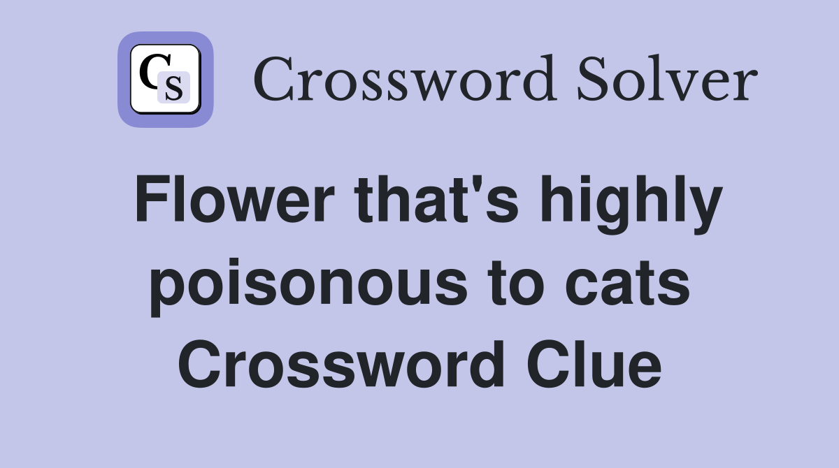 Flower that's highly poisonous to cats Crossword Clue