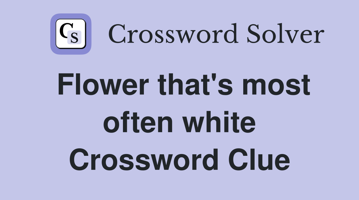 Flower that's most often white Crossword Clue