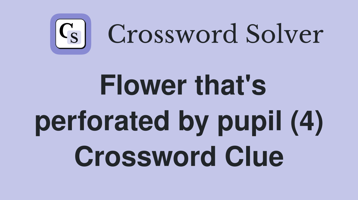 Flower that's perforated by pupil (4) Crossword Clue