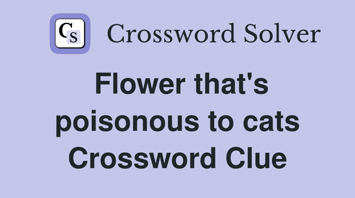 Flower that's poisonous to cats Crossword Clue