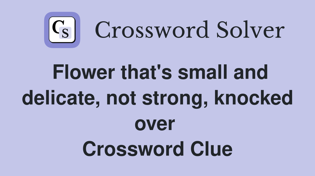 Flower that's small and delicate, not strong, knocked over  Crossword Clue