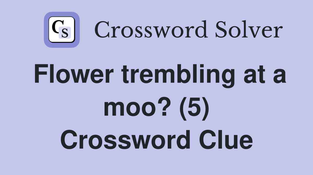 Flower trembling at a moo? (5) Crossword Clue