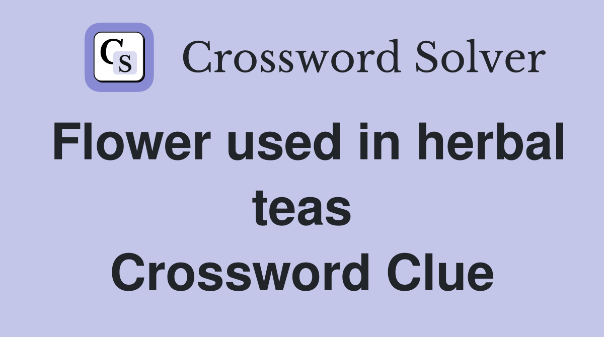 Flower used in herbal teas Crossword Clue