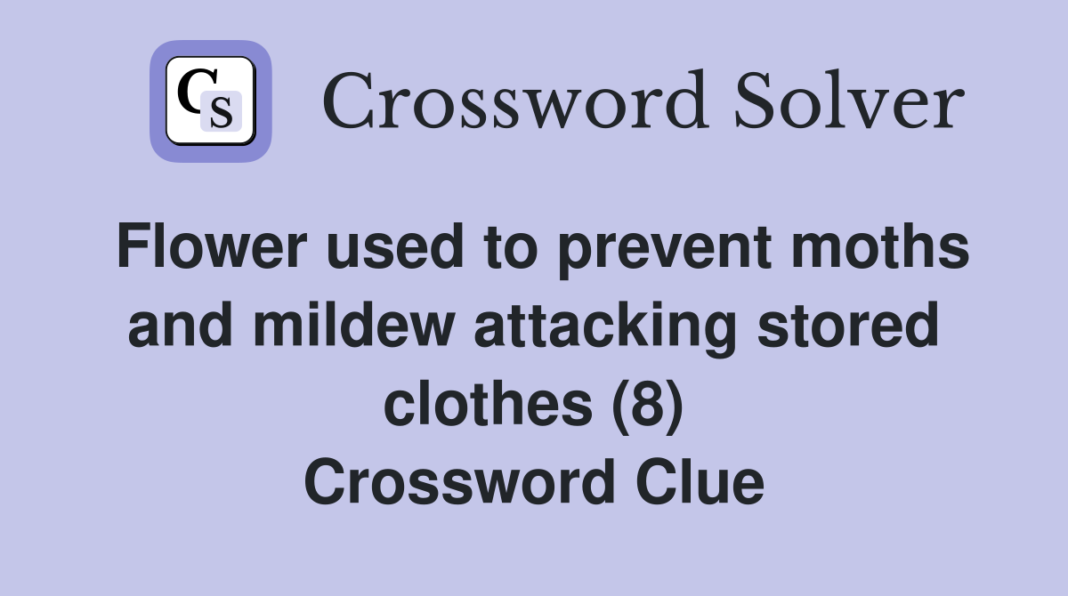 Flower used to prevent moths and mildew attacking stored clothes (8) Crossword Clue