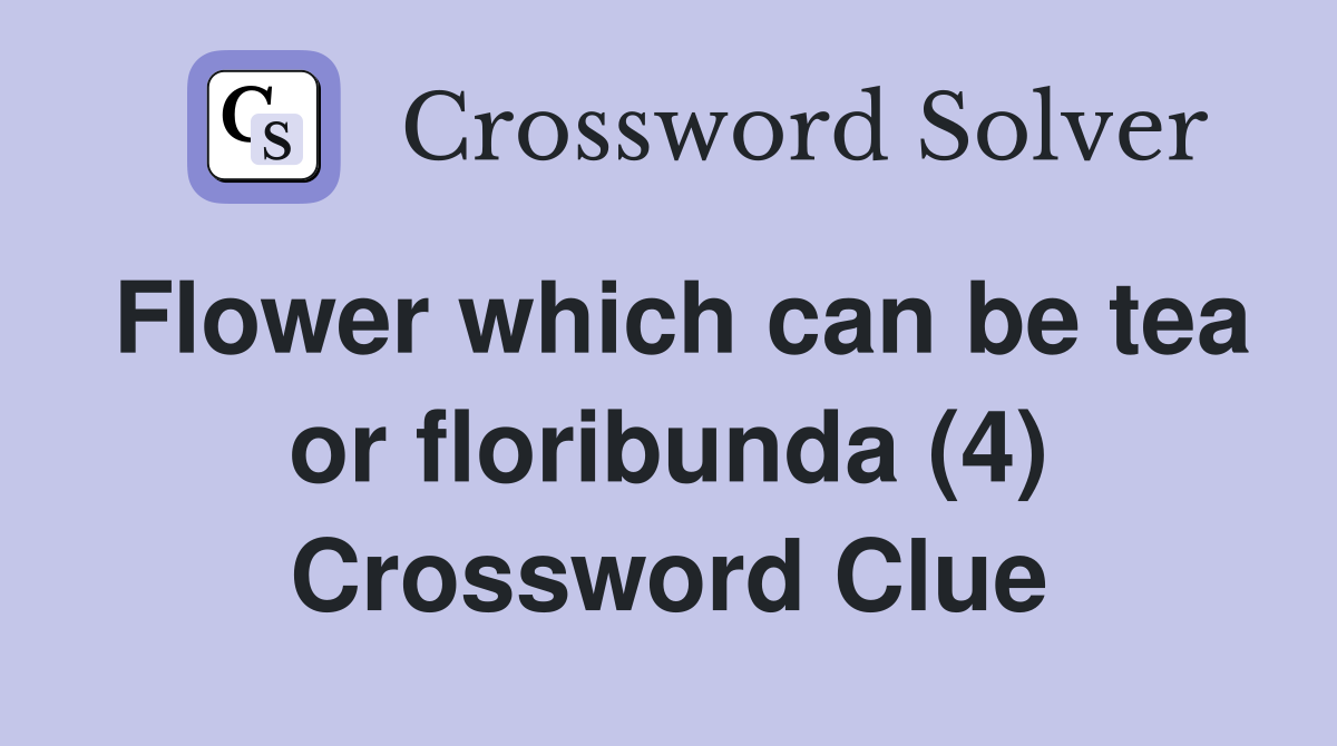Flower which can be tea or floribunda (4) Crossword Clue