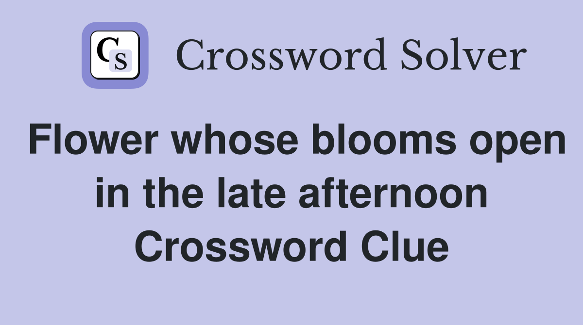 Flower whose blooms open in the late afternoon Crossword Clue