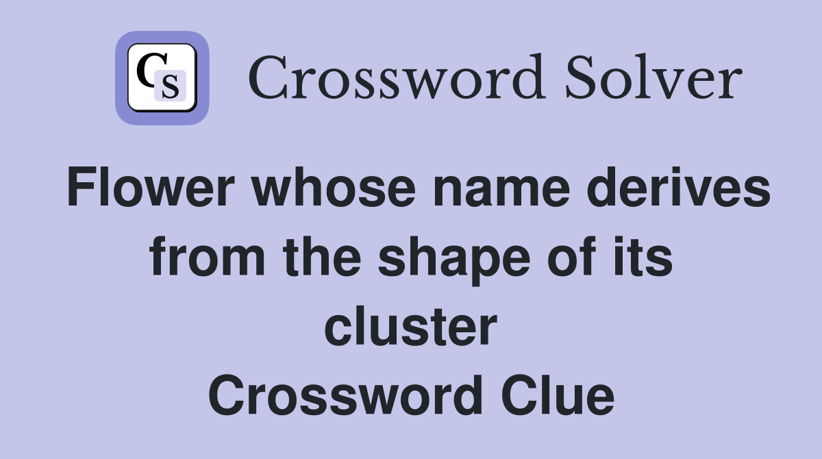 Flower whose name derives from the shape of its cluster Crossword Clue