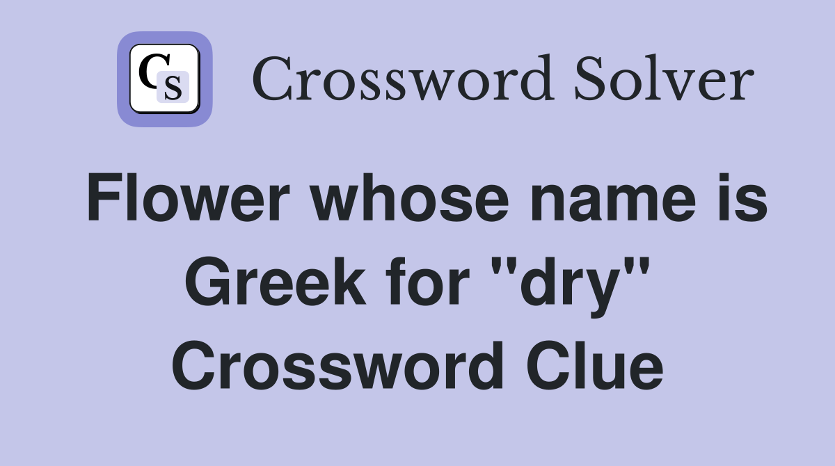 Flower whose name is Greek for "dry" Crossword Clue