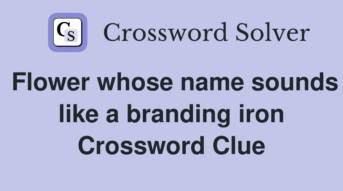 Flower whose name sounds like a branding iron Crossword Clue