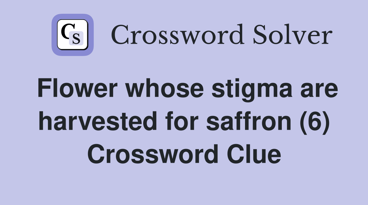 Flower whose stigma are harvested for saffron (6) Crossword Clue