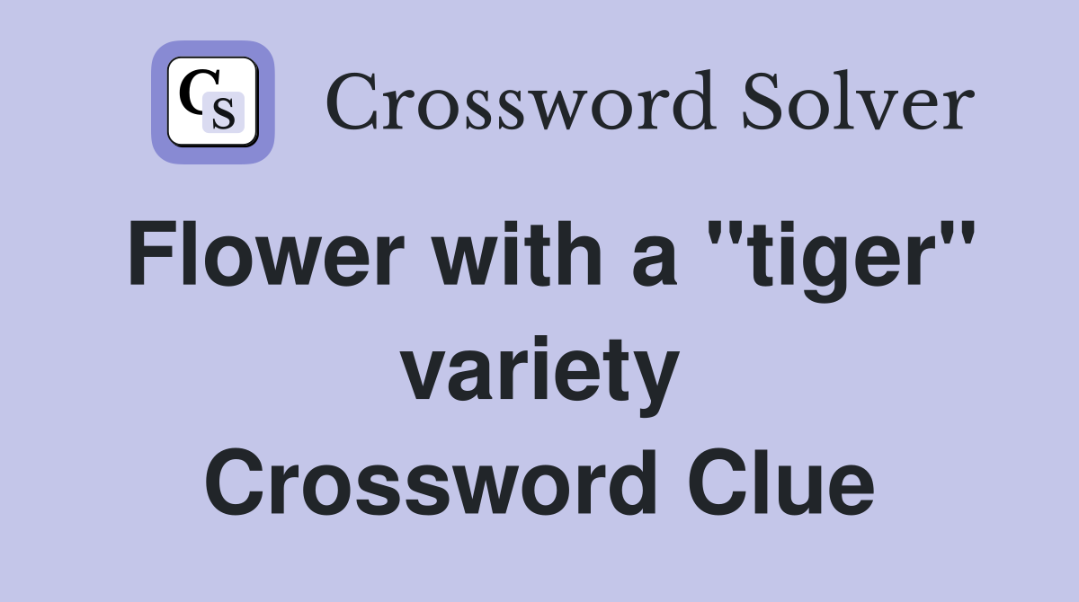 Flower with a "tiger" variety Crossword Clue
