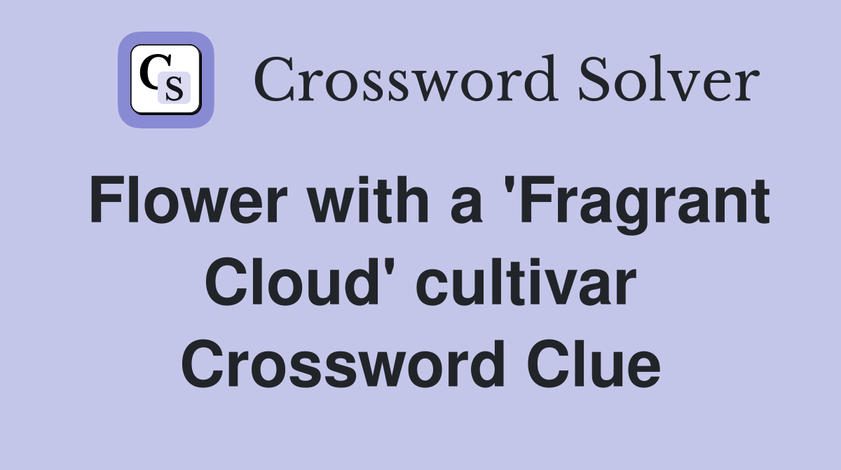 Flower with a 'Fragrant Cloud' cultivar Crossword Clue