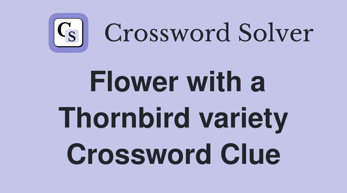 Flower with a Thornbird variety Crossword Clue
