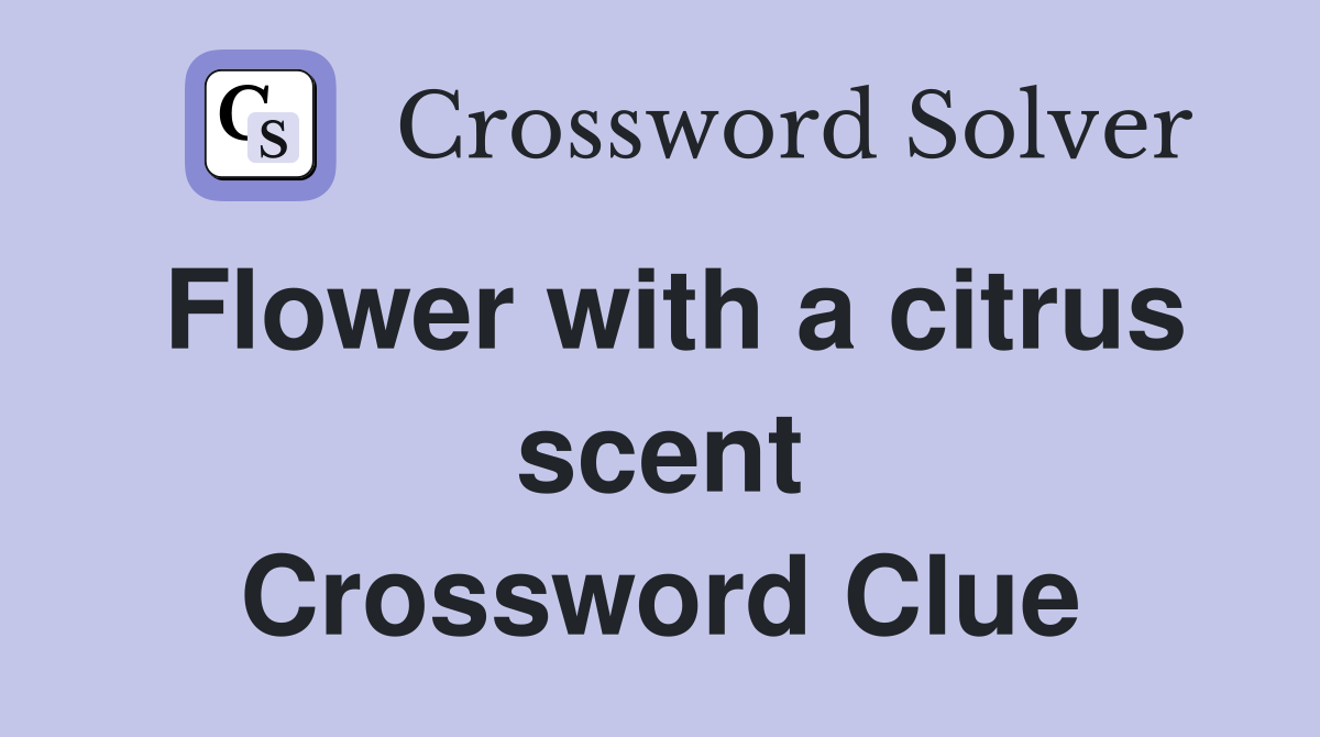 Flower with a citrus scent Crossword Clue