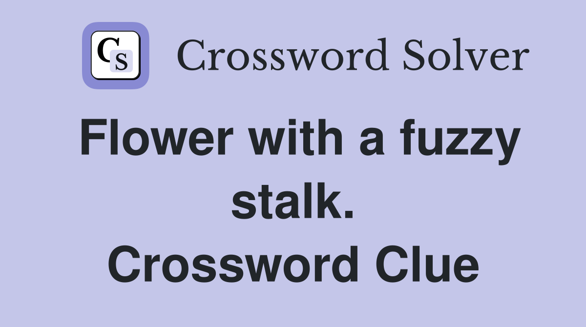 Flower with a fuzzy stalk. Crossword Clue