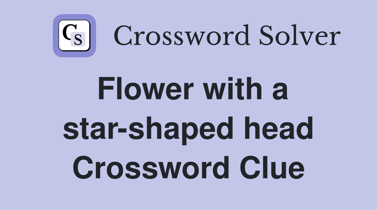 Flower with a star-shaped head Crossword Clue