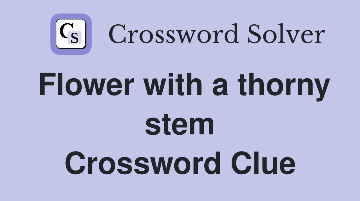 Flower with a thorny stem Crossword Clue