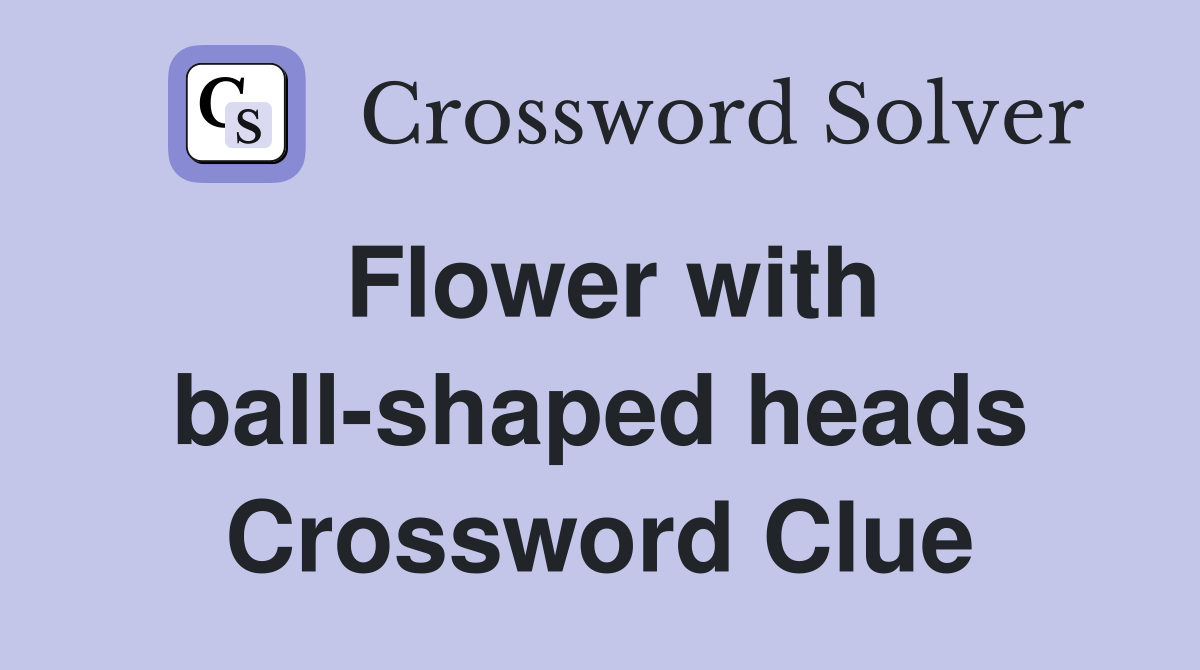 Flower with ball-shaped heads Crossword Clue