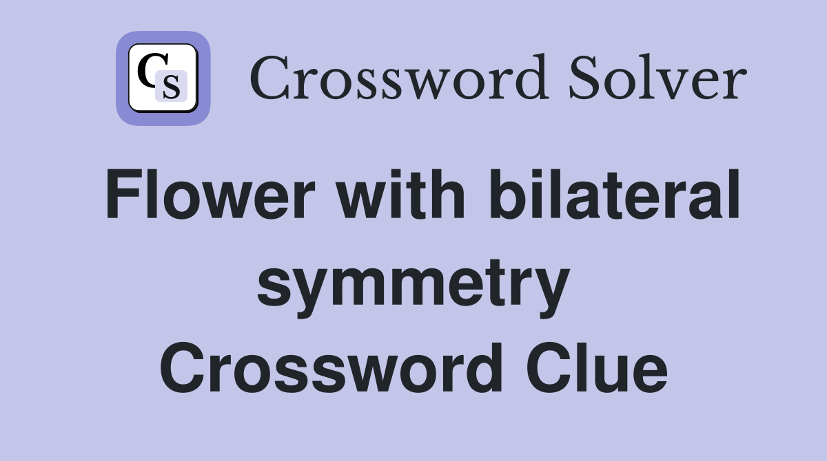 Flower with bilateral symmetry Crossword Clue