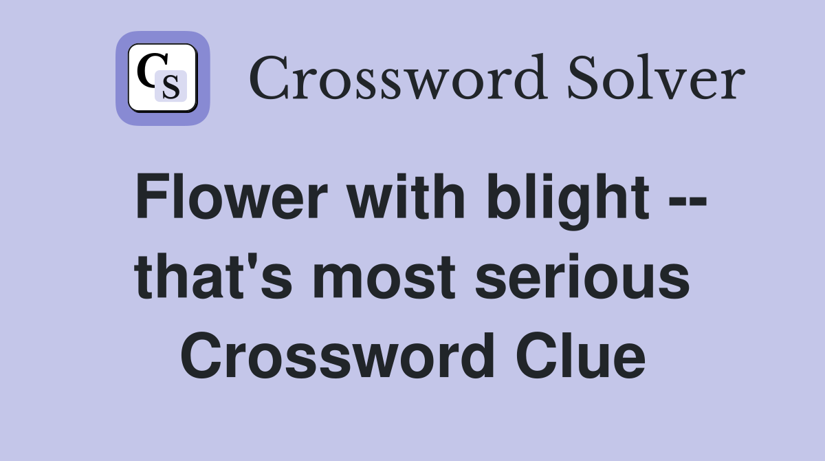 Flower with blight -- that's most serious Crossword Clue