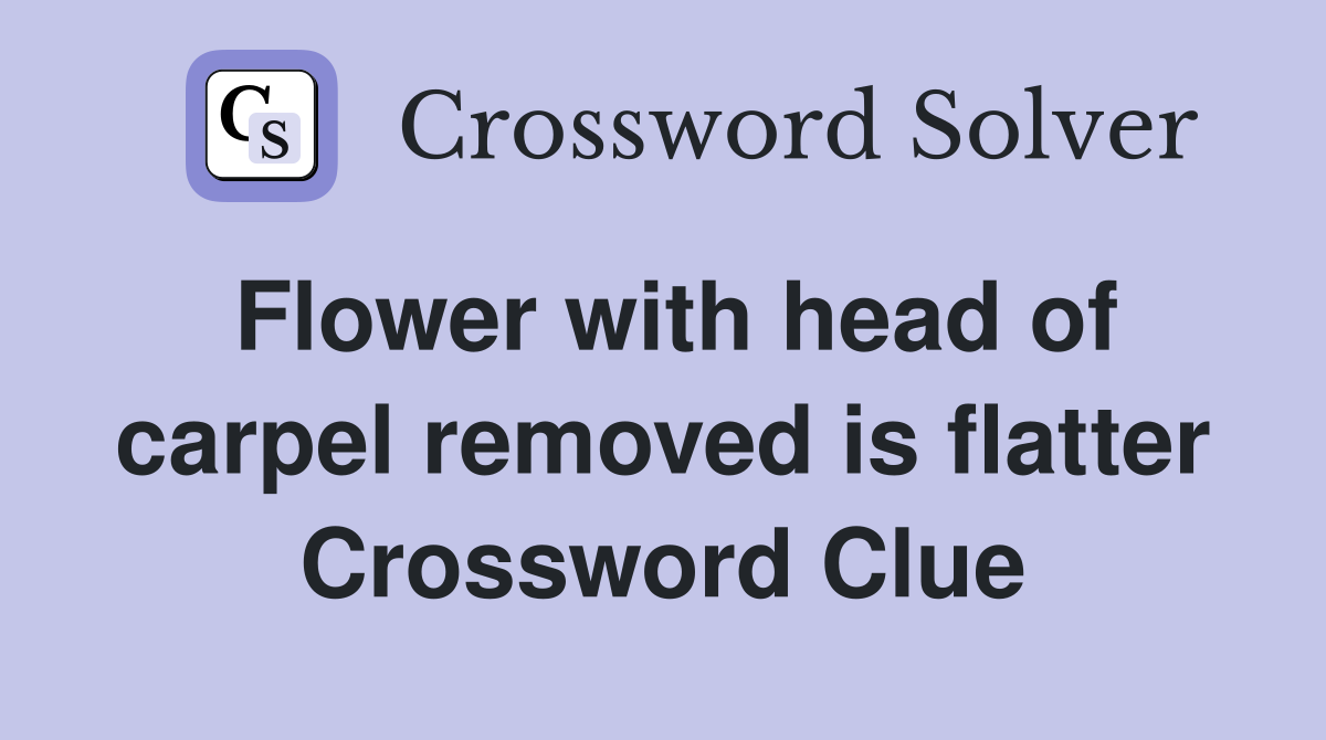 Flower with head of carpel removed is flatter Crossword Clue