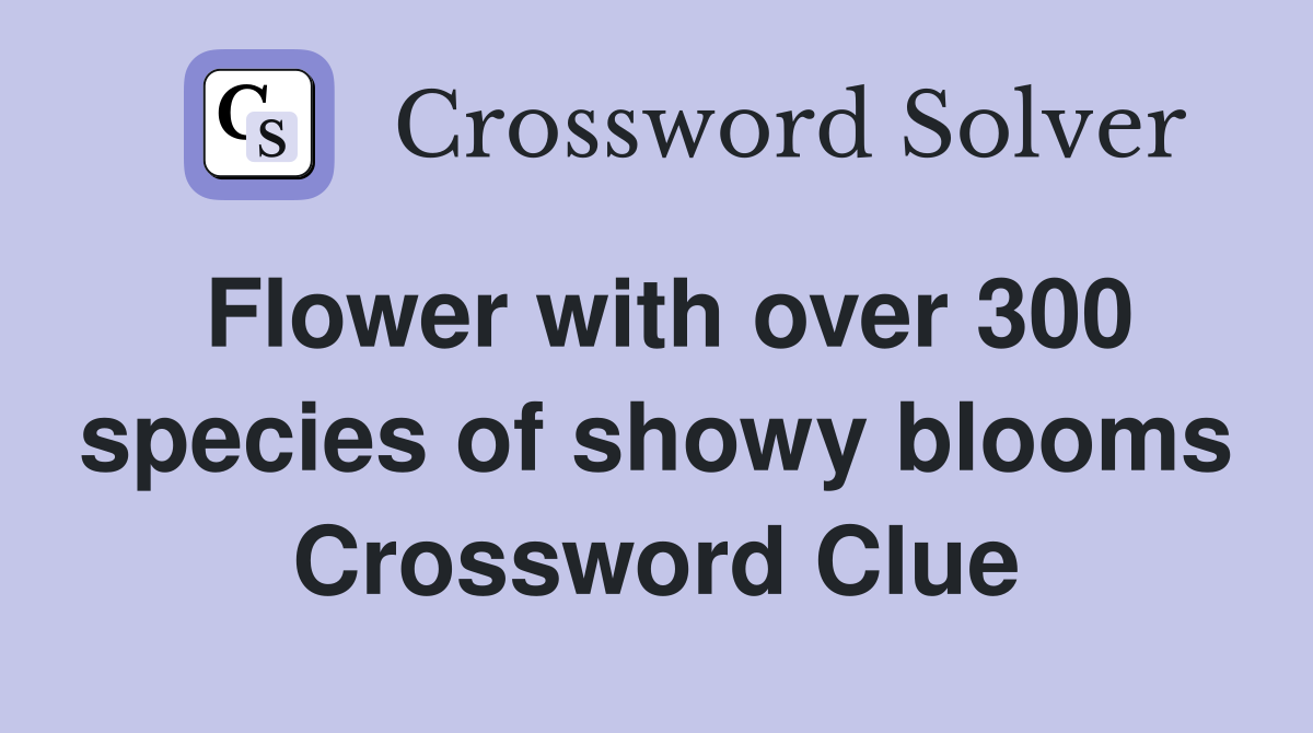 Flower with over 300 species of showy blooms Crossword Clue
