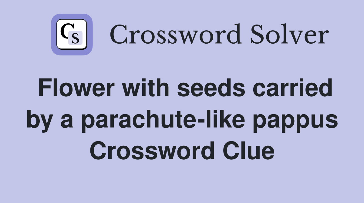 Flower with seeds carried by a parachute-like pappus Crossword Clue