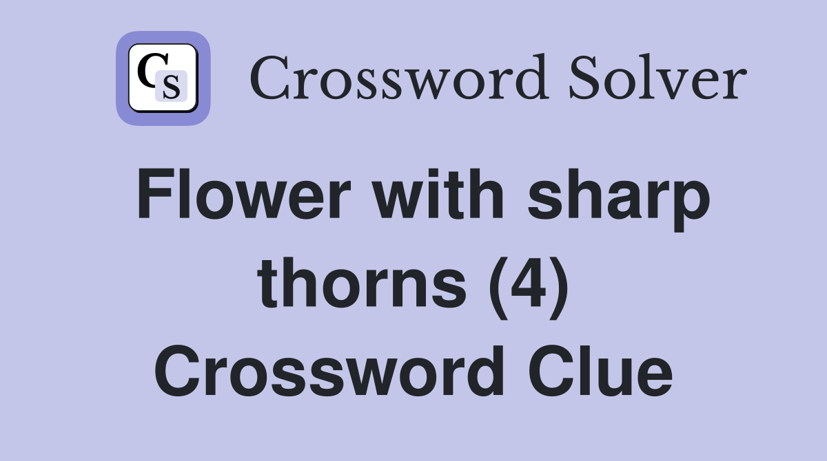 Flower with sharp thorns (4) Crossword Clue