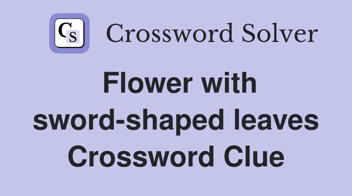 Flower with sword-shaped leaves Crossword Clue