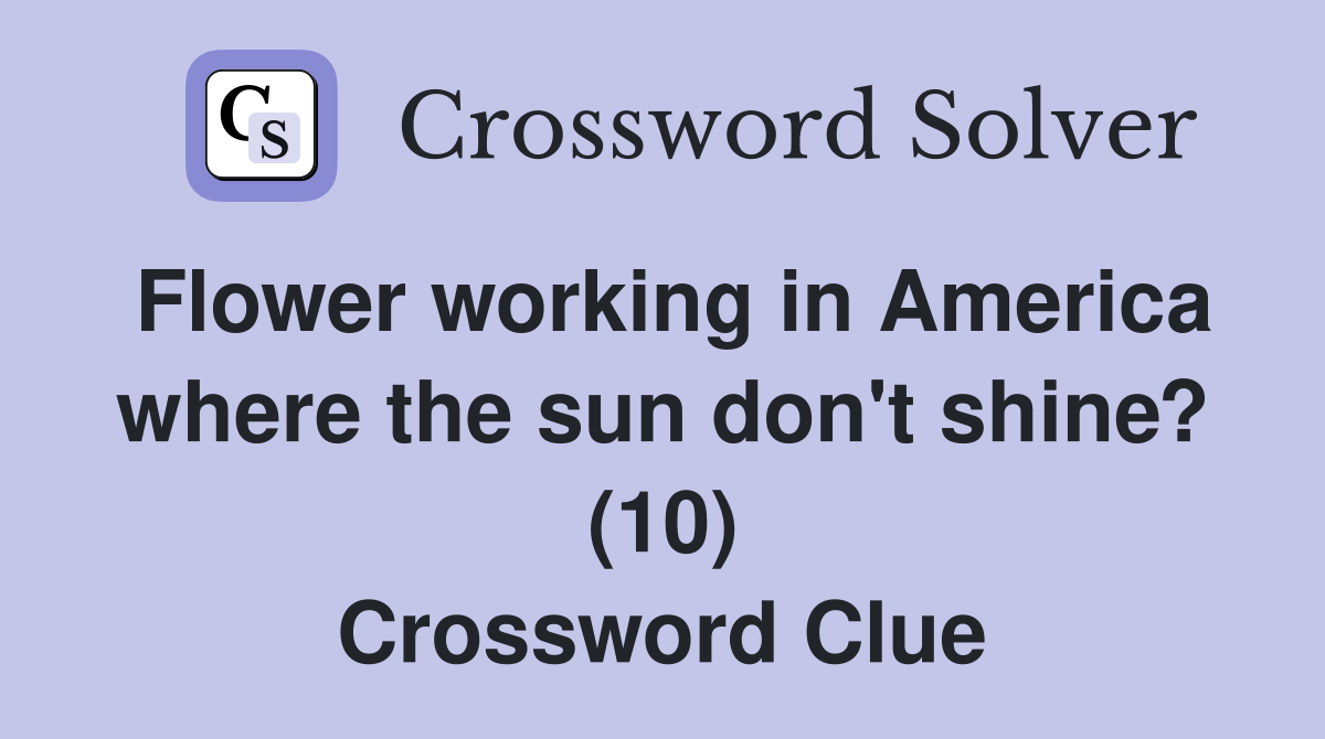 Flower working in America where the sun don't shine? (10) Crossword Clue