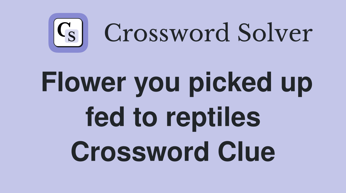 Flower you picked up fed to reptiles Crossword Clue