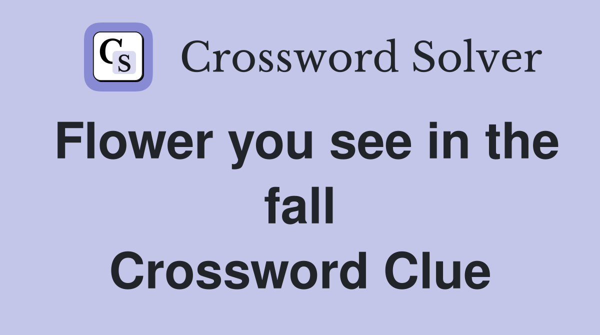 Flower you see in the fall Crossword Clue