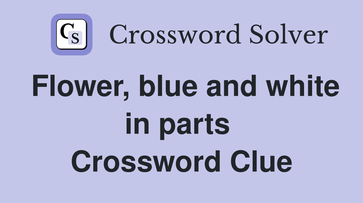 Flower, blue and white in parts  Crossword Clue