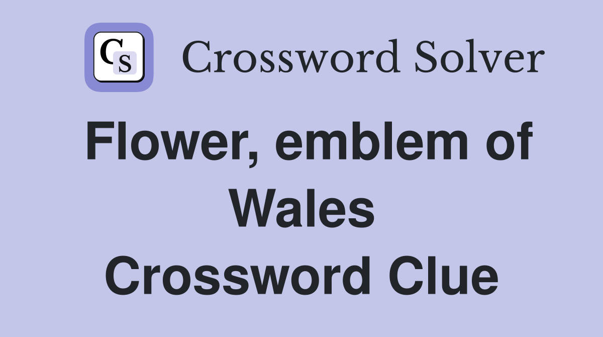 Flower, emblem of Wales Crossword Clue
