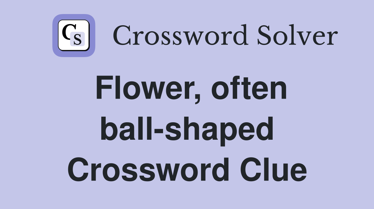 Flower, often ball-shaped Crossword Clue