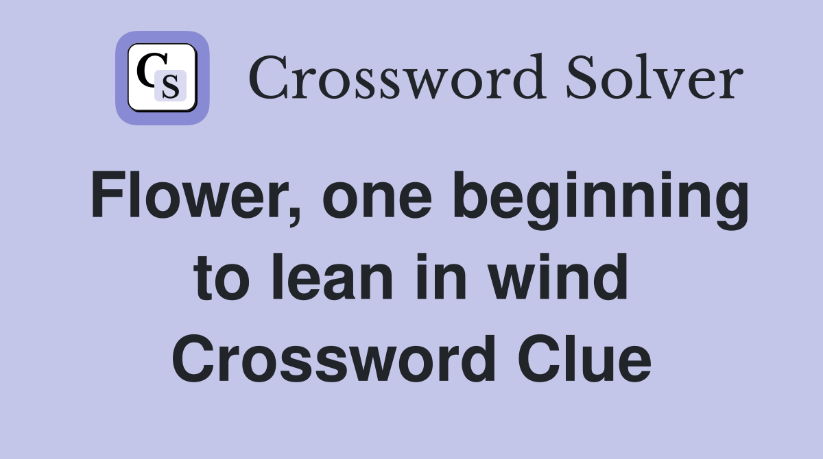 Flower, one beginning to lean in wind Crossword Clue