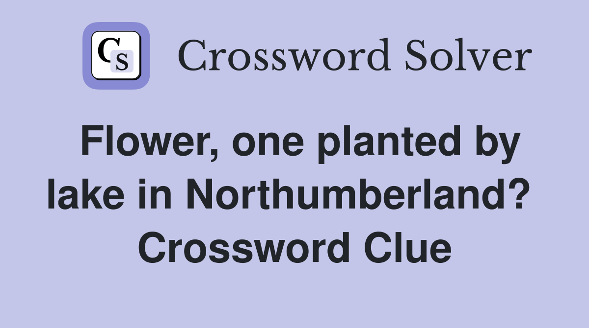 Flower, one planted by lake in Northumberland?  Crossword Clue