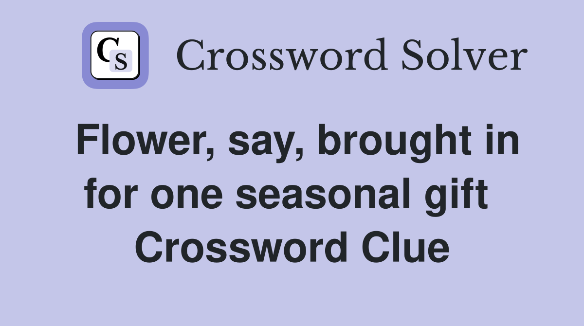 Flower, say, brought in for one seasonal gift  Crossword Clue