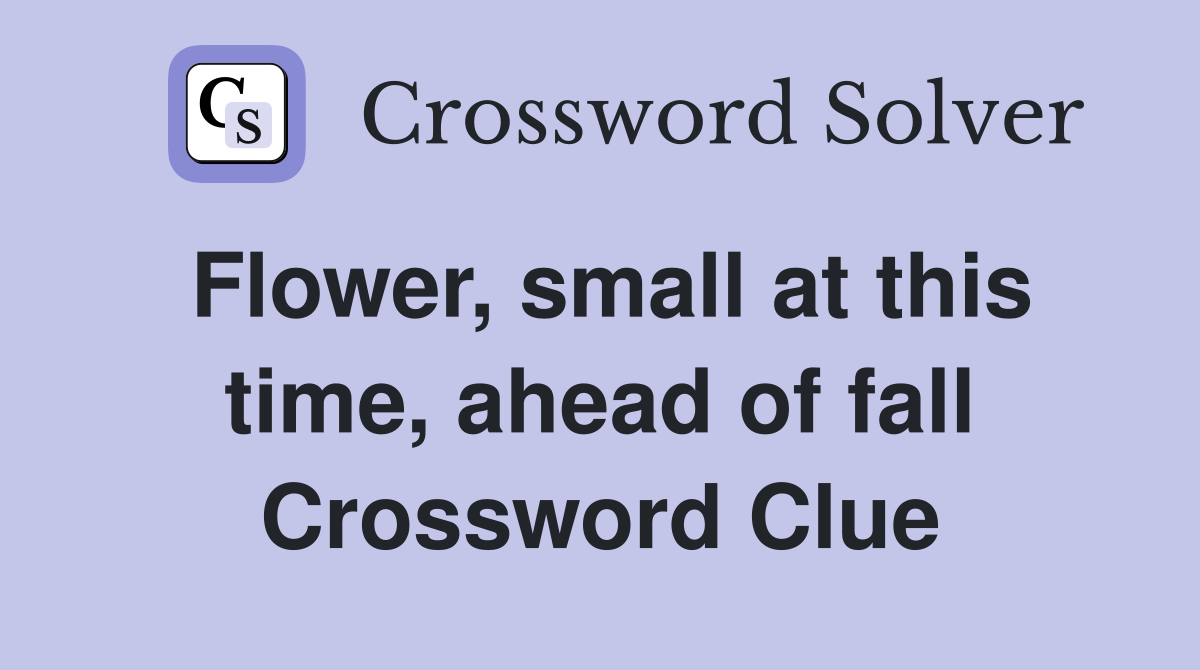 Flower, small at this time, ahead of fall Crossword Clue
