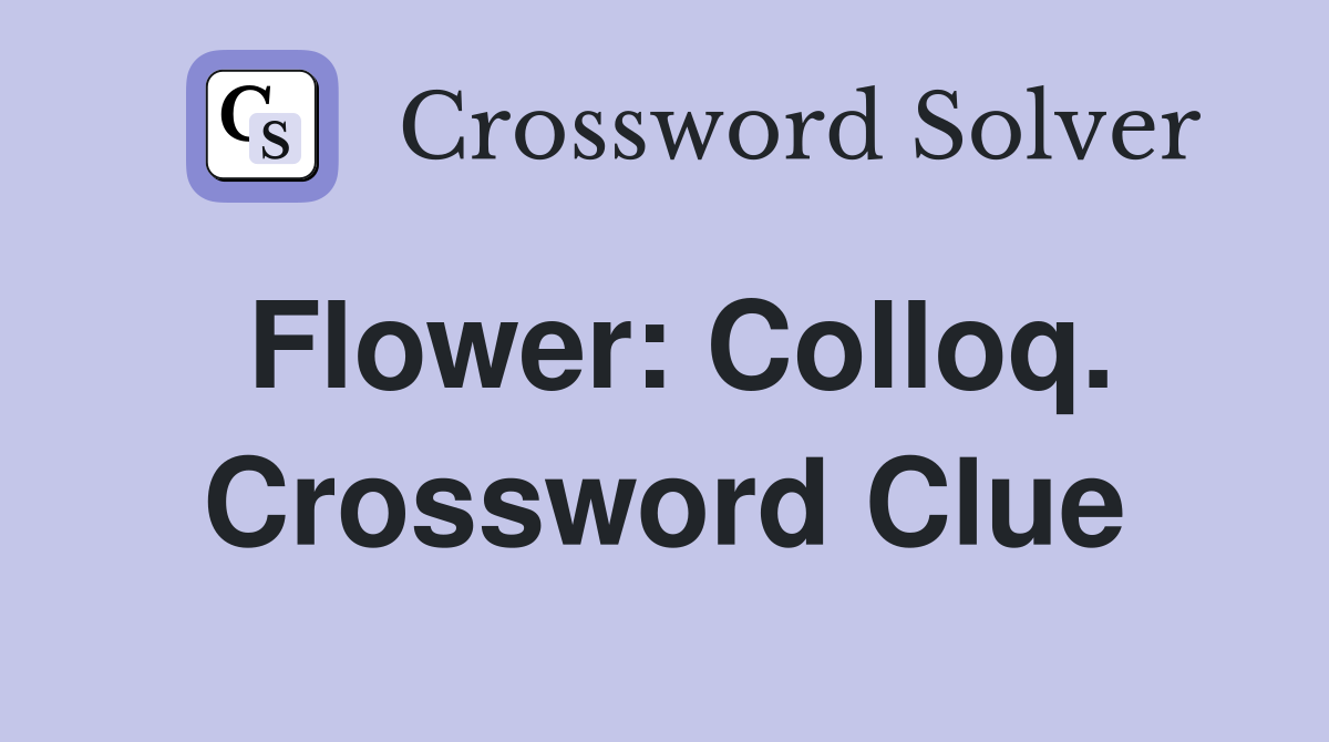Flower: Colloq. Crossword Clue