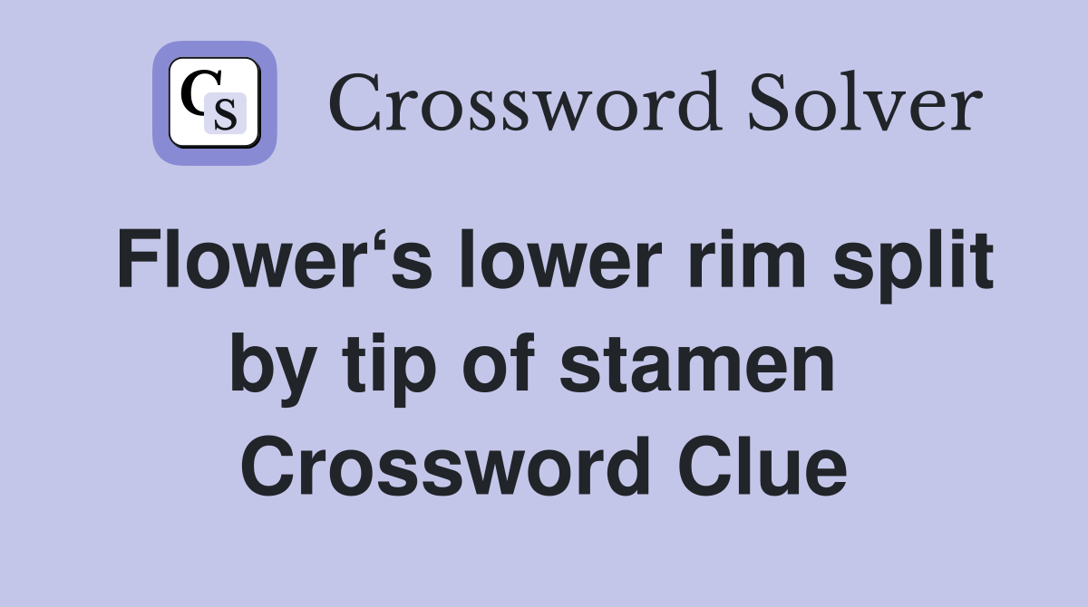 Flower‘s lower rim split by tip of stamen  Crossword Clue