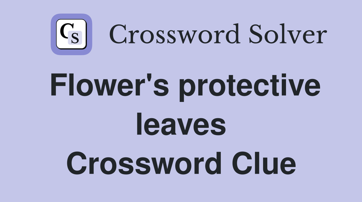 Flower's protective leaves Crossword Clue
