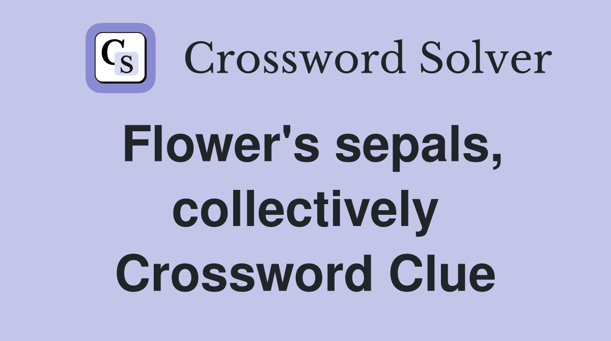 Flower's sepals, collectively Crossword Clue