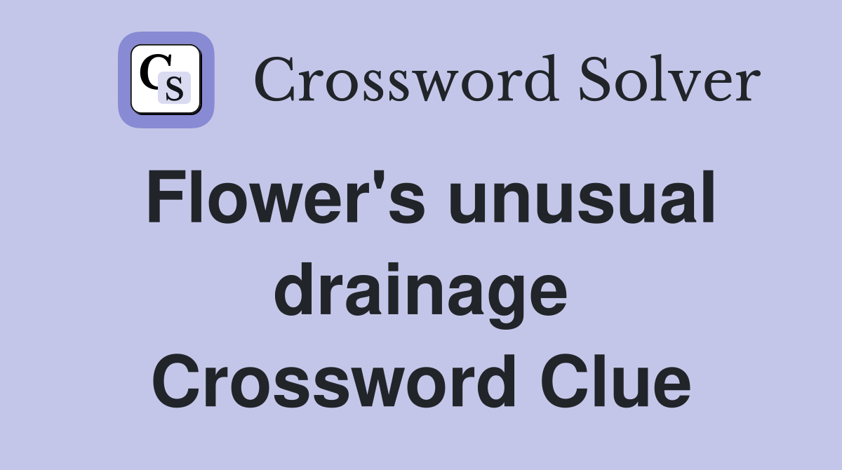 Flower's unusual drainage Crossword Clue
