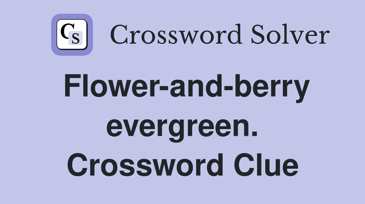 Flower-and-berry evergreen. Crossword Clue