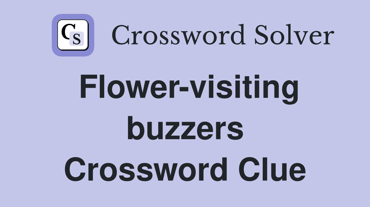 Flower-visiting buzzers Crossword Clue