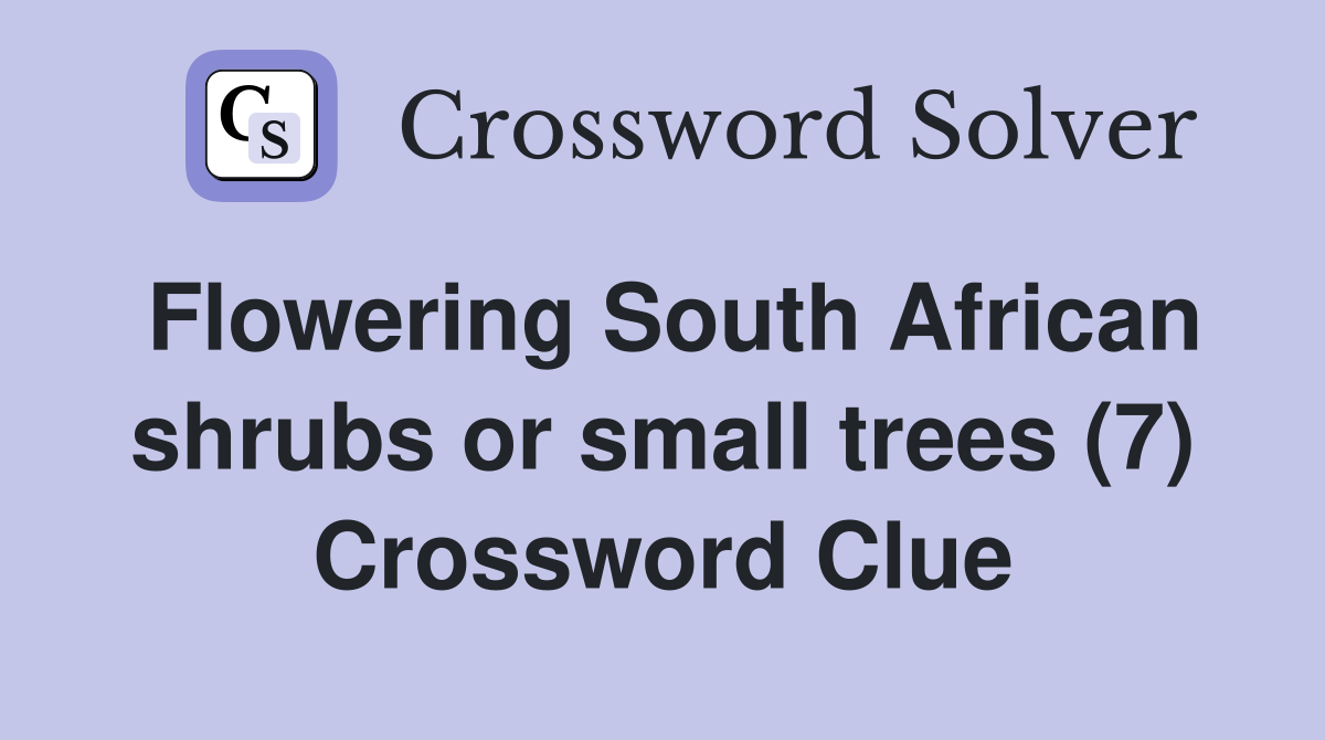 Flowering South African shrubs or small trees (7) Crossword Clue