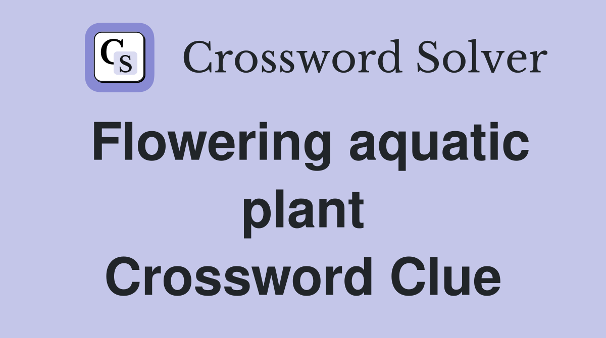 Flowering aquatic plant Crossword Clue